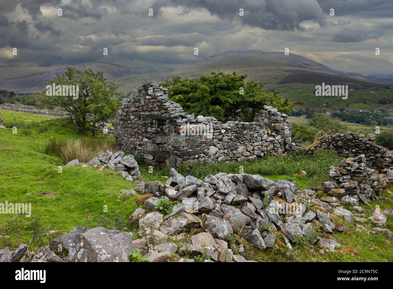 Dieses veröde Steinhaus im Snowdonia National Park, Nord Wales. Liegt in der Nähe des Dorfes Deiniolen. Stockfoto