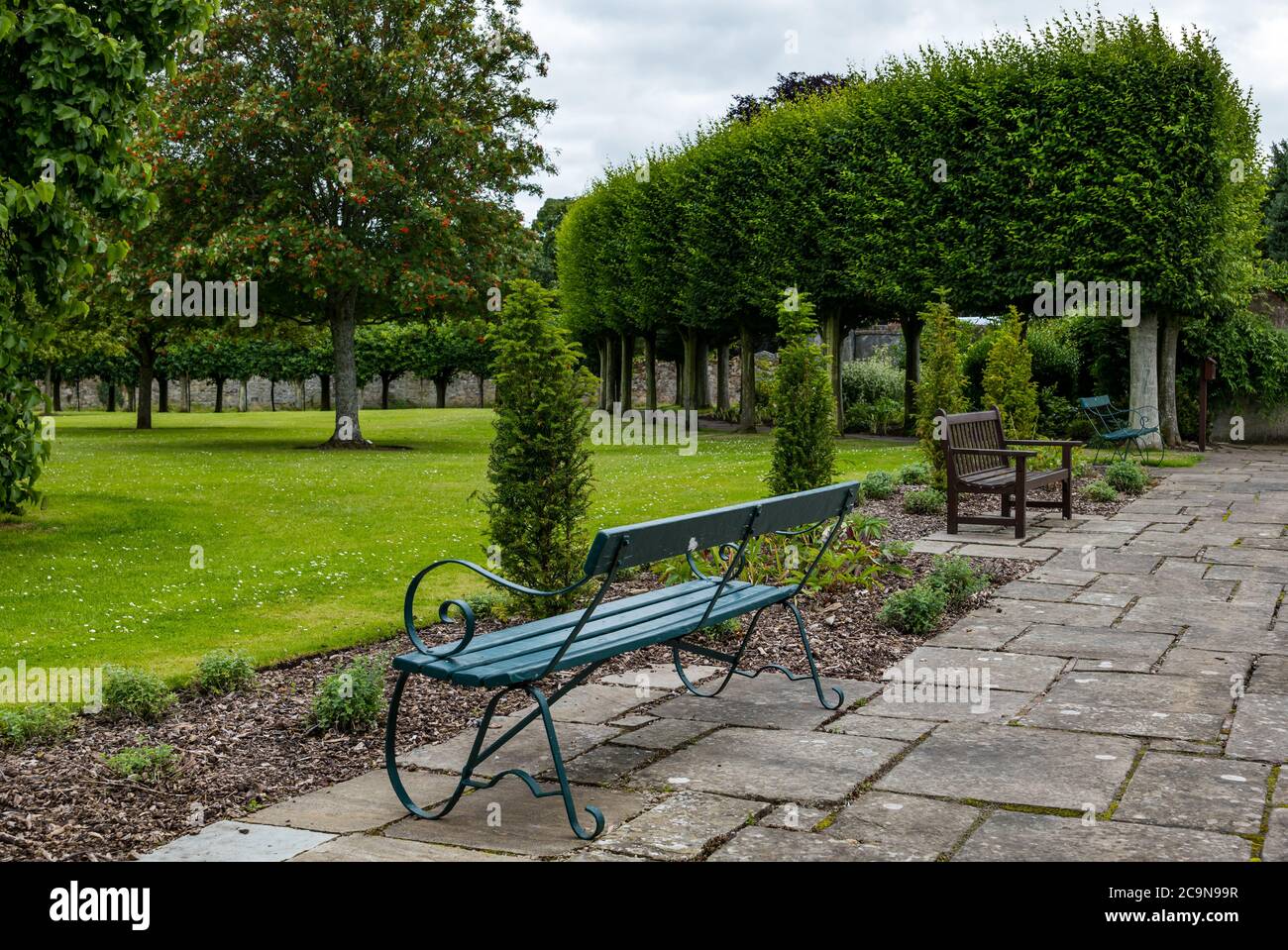 Faltenboxkopf Hainbuche Bogen in formalen 17. Jahrhundert Garten mit Bänken, St. Mary's Pleasance, Haddington, East Lothian, Schottland, Großbritannien Stockfoto