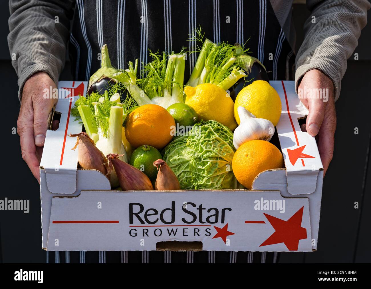 Mann trägt Schürze Lieferung Box mit frischem Obst und Gemüse: wirsing-Kohl, Schalotten, Orangen, Limetten, Zitronen, Fenchel, Aubergine Stockfoto