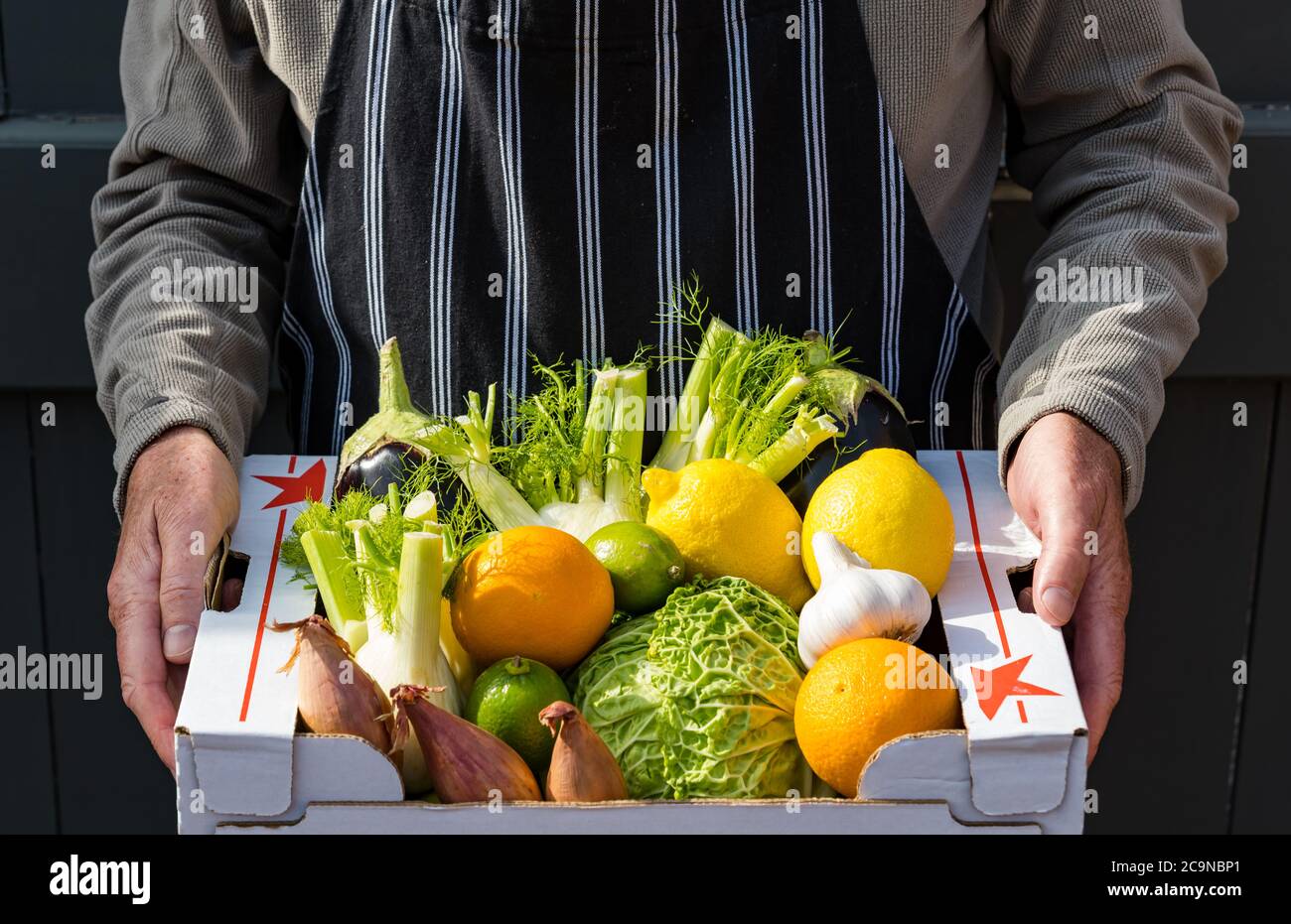 Mann trägt Schürze Lieferung Box mit frischem Obst und Gemüse: wirsing-Kohl, Schalotten, Orangen, Limetten, Zitronen, Fenchel, Aubergine Stockfoto