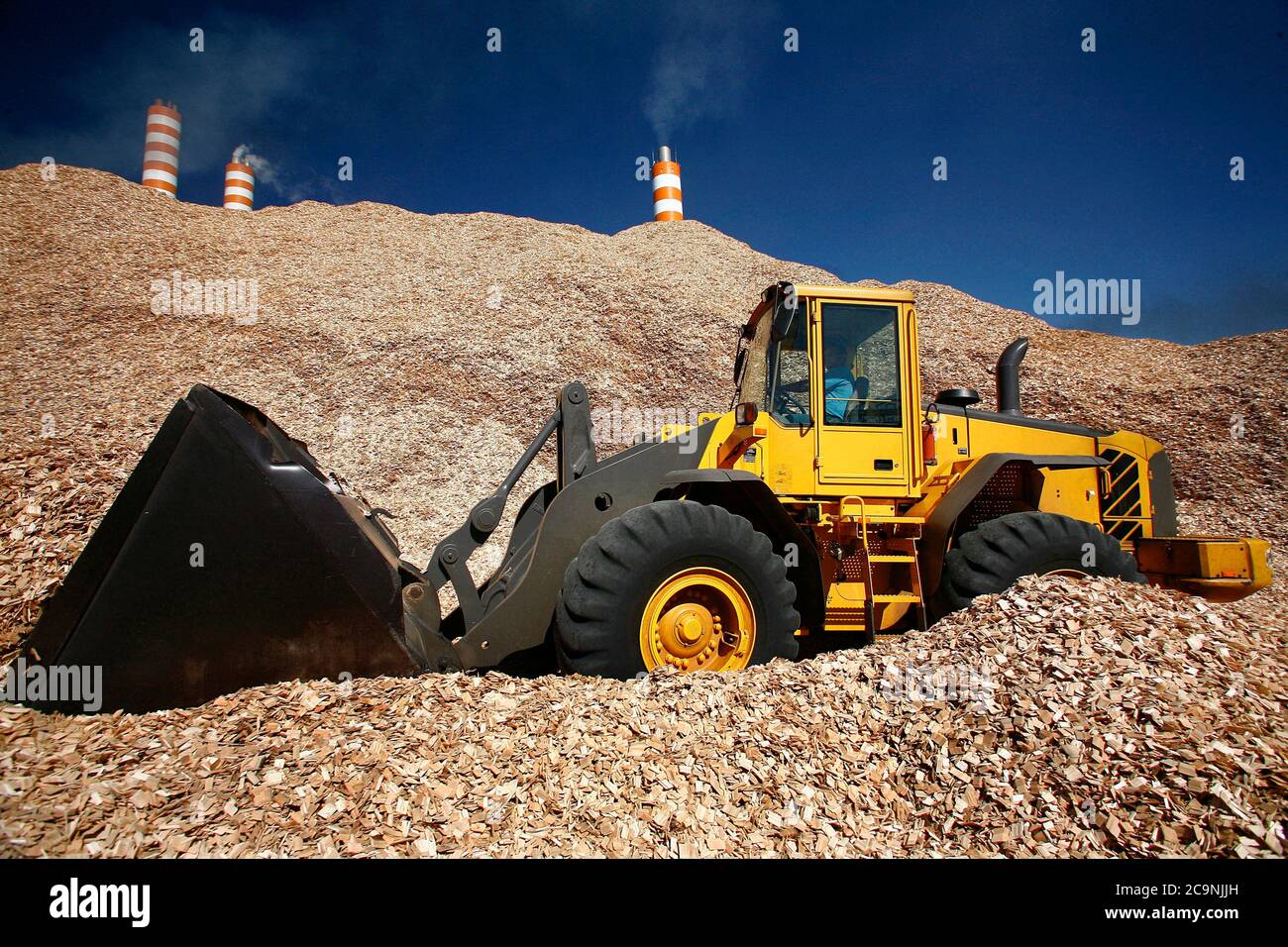 Sao Paulo, Brasilien - 07. Mai 2008 - Bagger in Betrieb auf einem Hügel von Eukalyptus-Chips Hölzer für den industriellen Einsatz Stockfoto