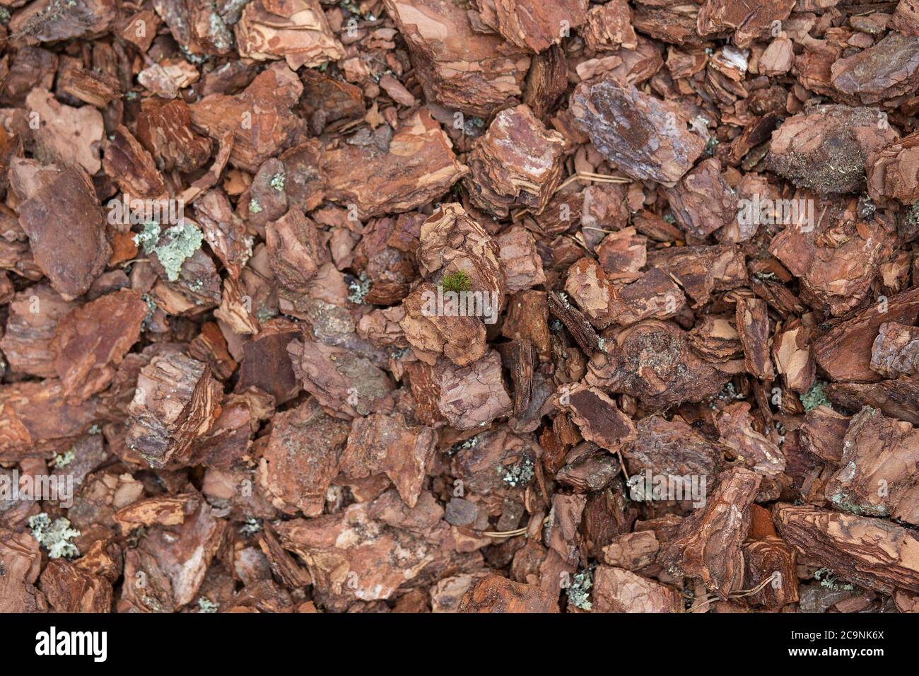 Cortex oder Holz Chip Hintergrund Textur mit kleinen Chips aus