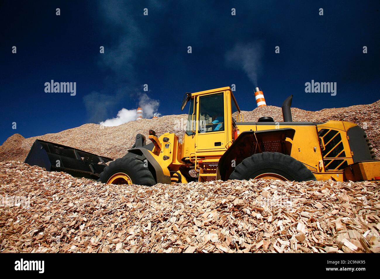 Sao Paulo, Brasilien - 07. Mai 2008 - Bagger in Betrieb auf einem Hügel von Eukalyptus-Chips Hölzer für den industriellen Einsatz Stockfoto