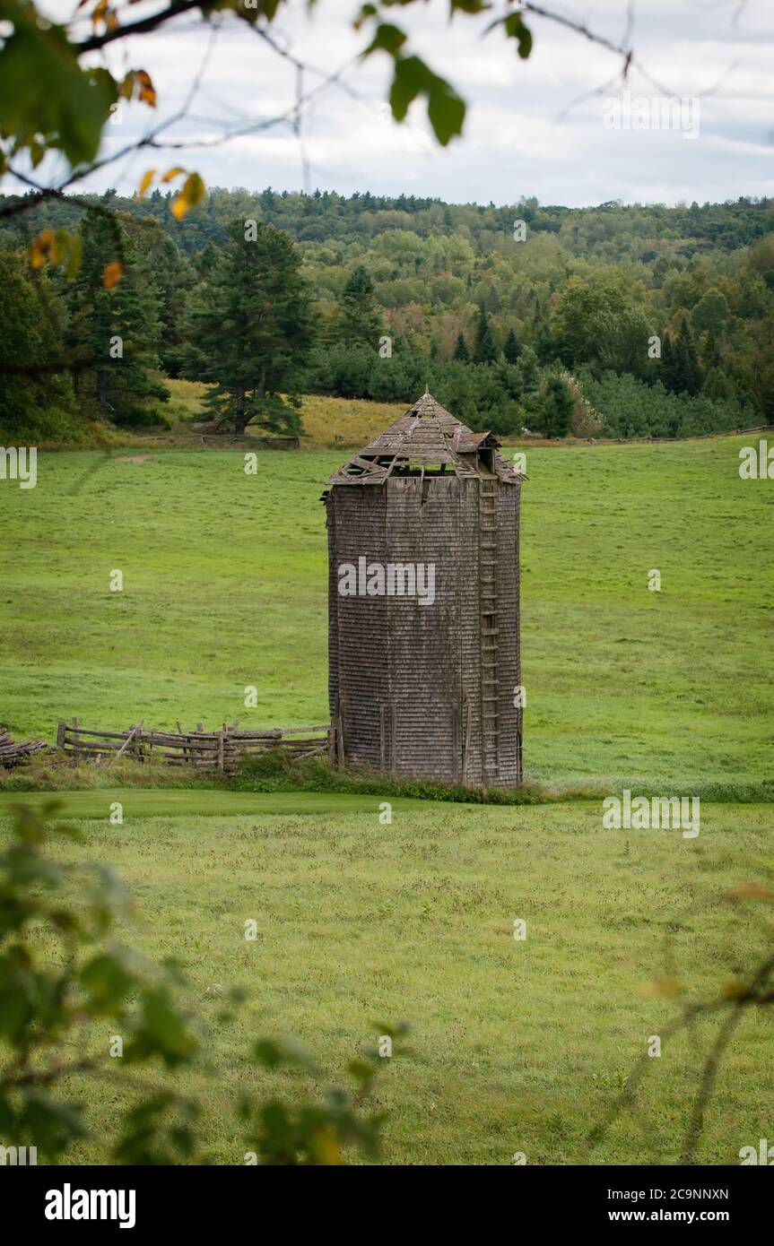 Ein altes verlassene Holzsilo auf einer grünen Weide in der Nähe von Ardoch Ontario. Es gibt üppig grünen Wald im Hintergrund Stockfoto