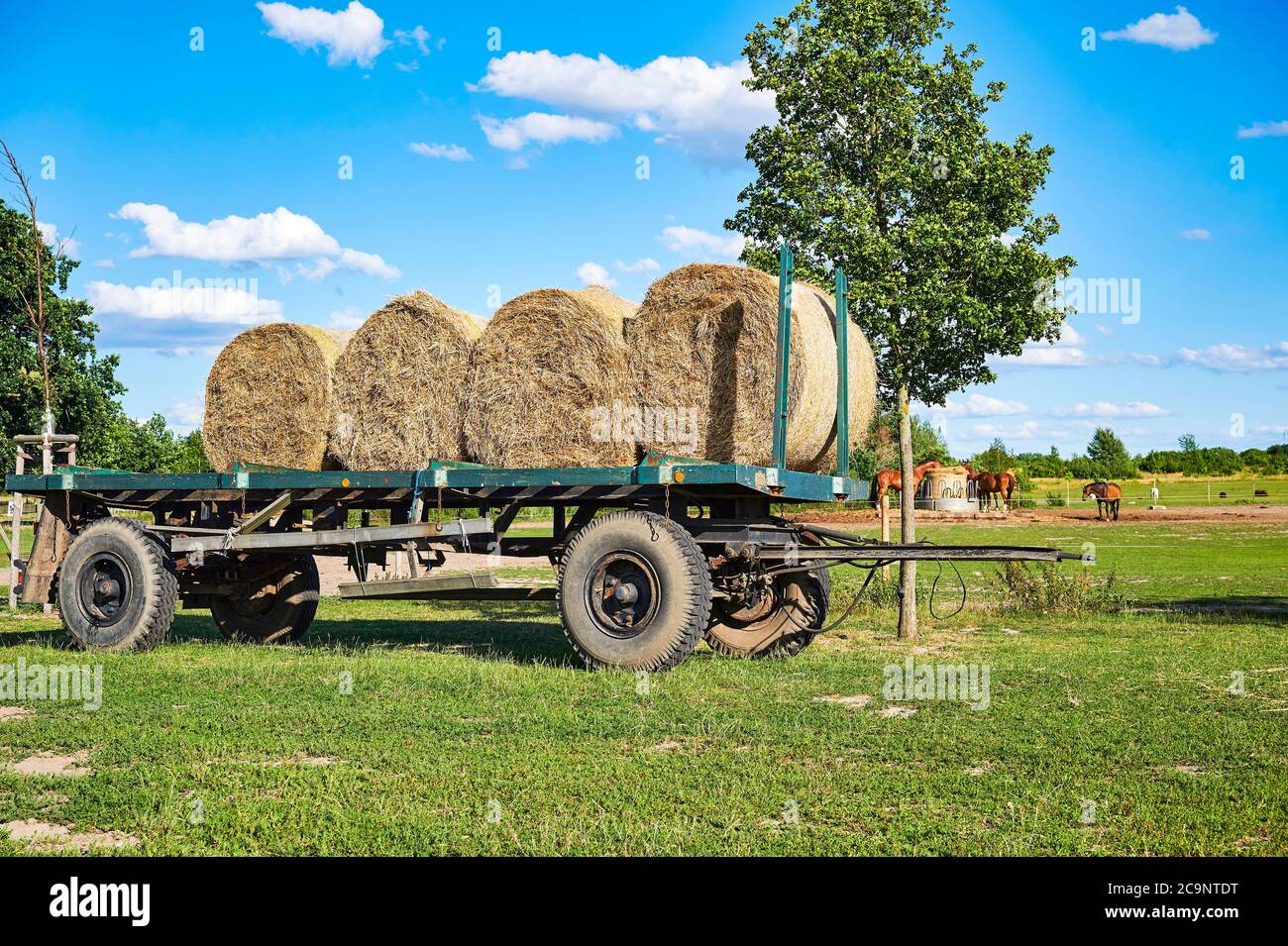 Ein alter Anhänger mit Strohballen, die auf einer Wiese stehen. Stockfoto