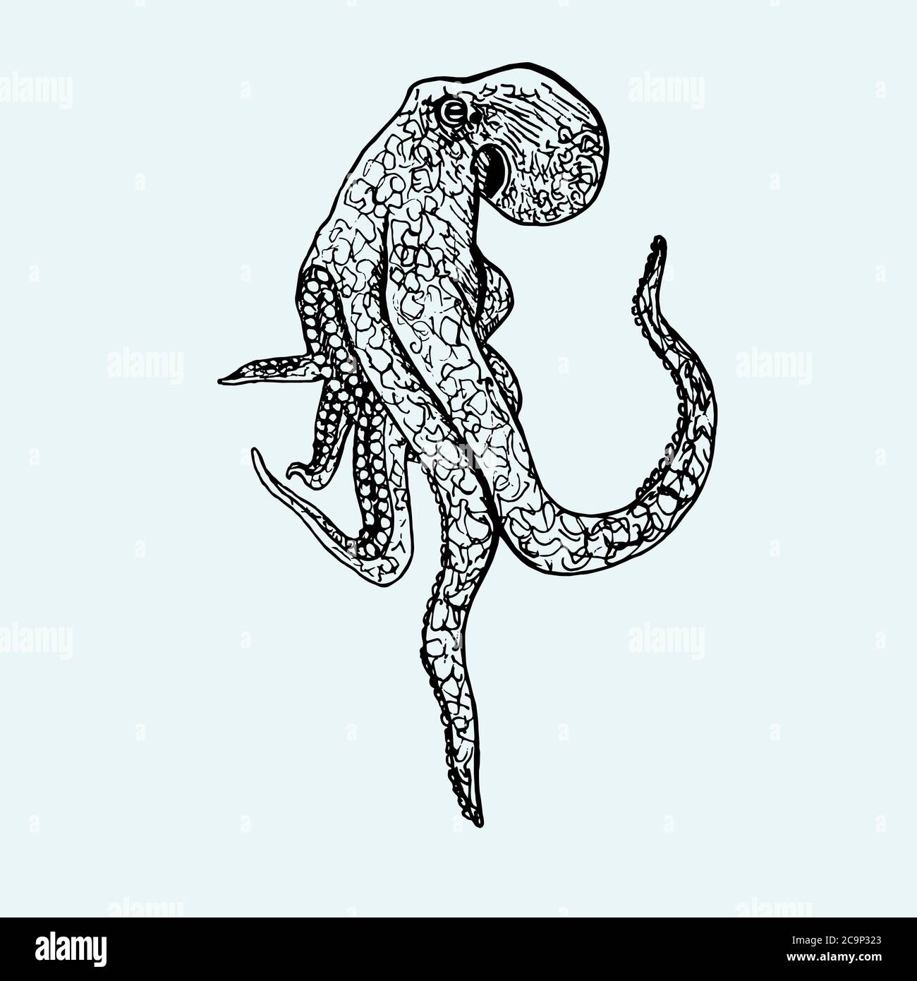 Octopus, handgezeichneter Doodle, Zeichnung Skizze in Tiefdruck-Stil, Illustration Stockfoto