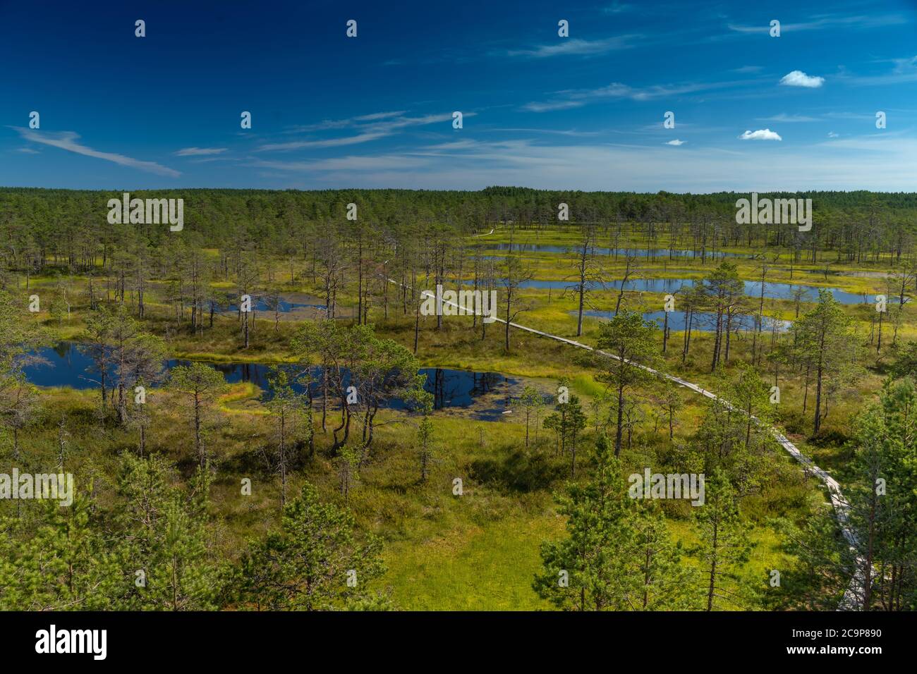 Boardwalk über einem Hochmoor, Lahemaa Nationalpark, Estland. Der größte Park in Estland. Es war der erste Nationalpark der ehemaligen Sowjetunion. Stockfoto