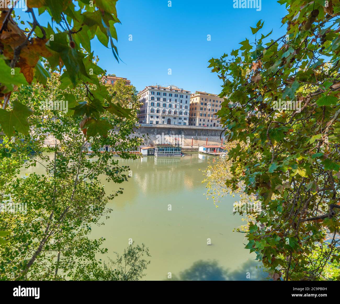 Tiber Fluss durch grüne Blätter in Rom gesehen, Italien Stockfoto