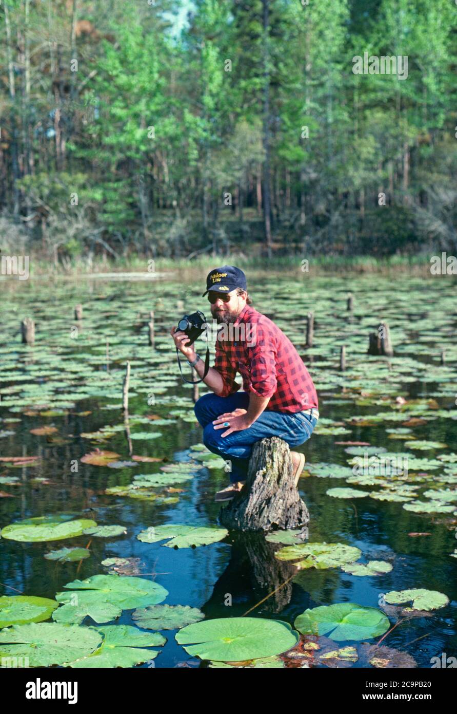 Ein Fotograf oder Mann mit einer Kamera sitzt auf einem halb untergetauchten Stumpf in der Alligator-und Schlange verseuchten Wasser des Lake Seminole in Florida. Stockfoto