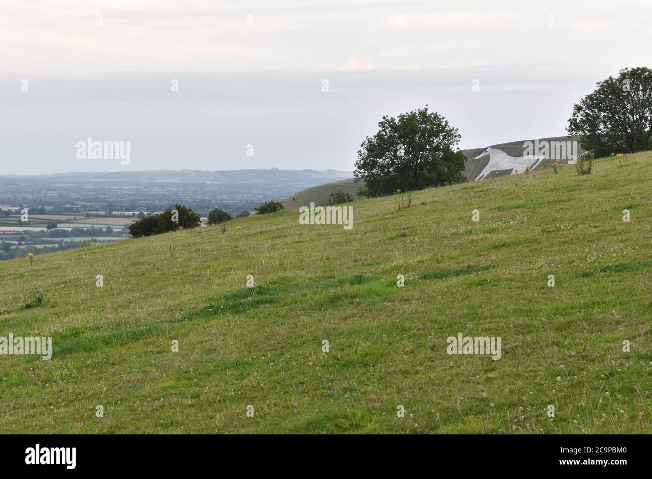 The Westbury White Horse, Wiltshire Stockfoto