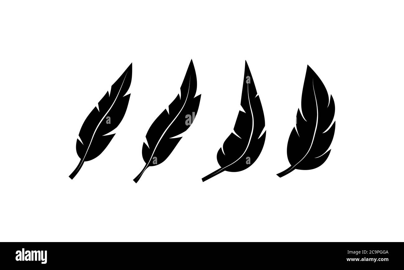 Schwarze Federn Set Symbole. Vektor auf isoliertem Hintergrund. EPS 10 Stock Vektor
