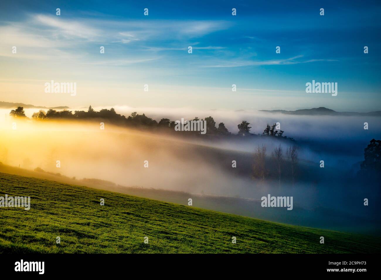 Erkunden Sie die Rural Hills von Berwick (südwestlich von Dunedin) bei Sonnenaufgang an einem frostigen Tag mit niedrigem Nebel und Nebel, der durch die Täler rollt Stockfoto