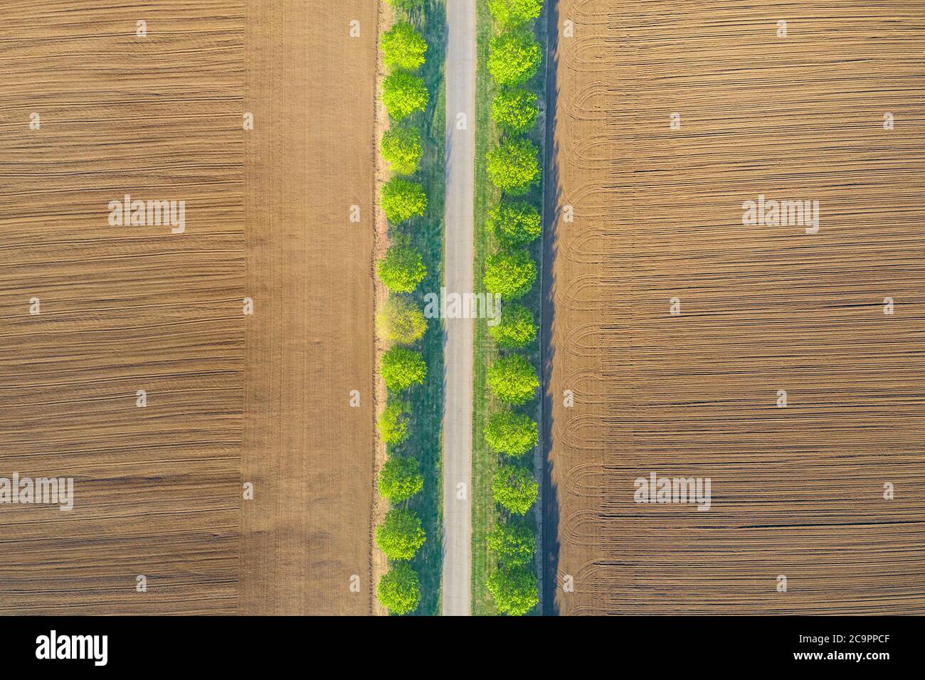 Ländliche Landschaft mit Feldern. Luftaufnahme Reihen von Erde vor dem Pflanzen. Furchen Reihen Muster in einem gepflügten Feld für die Pflanzung von Pflanzen im Frühjahr vorbereitet Stockfoto
