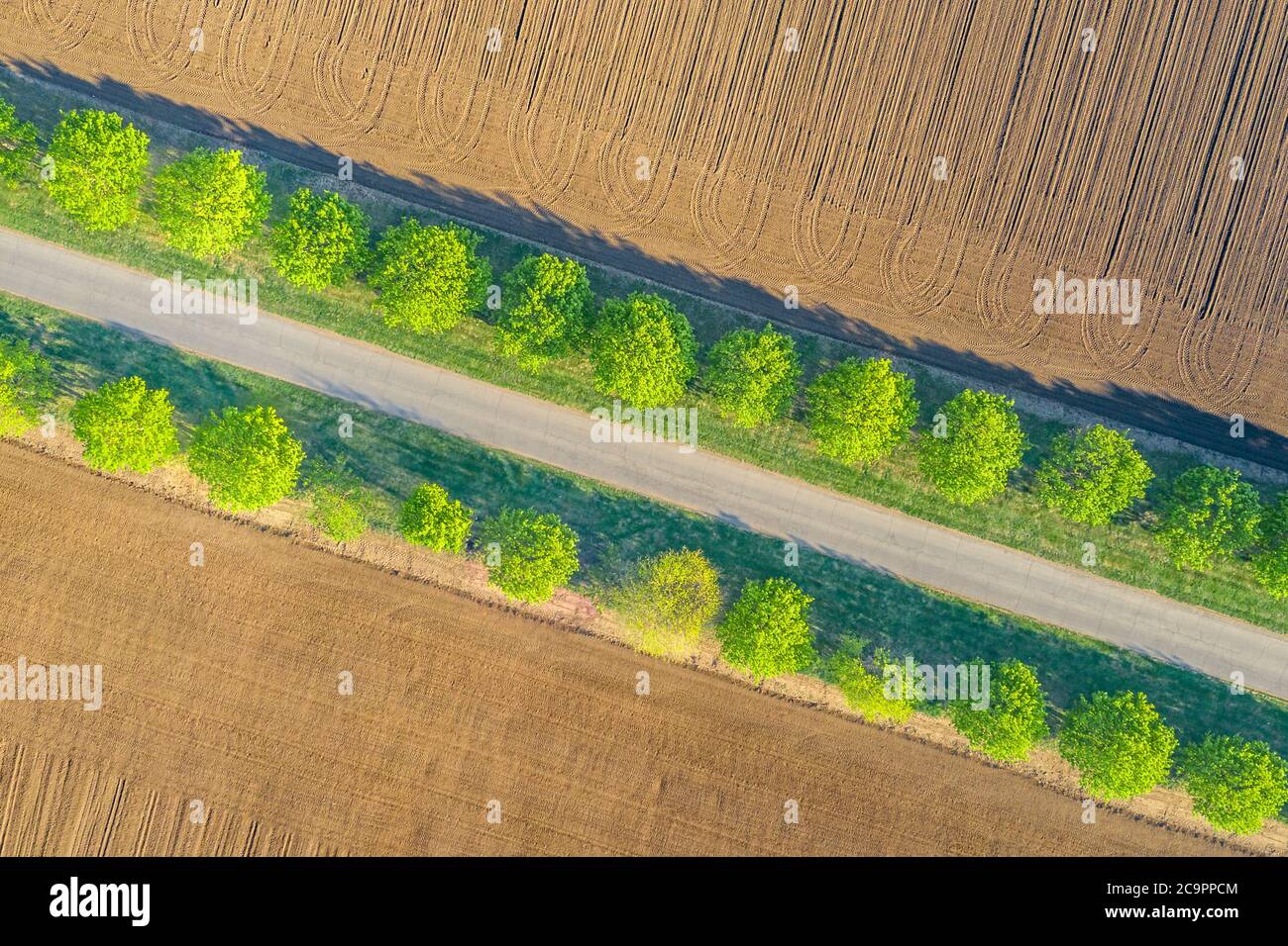 Ländliche Landschaft mit Feldern. Luftaufnahme Reihen von Erde vor dem Pflanzen. Furchen Reihen Muster in einem gepflügten Feld für die Pflanzung von Pflanzen im Frühjahr vorbereitet Stockfoto