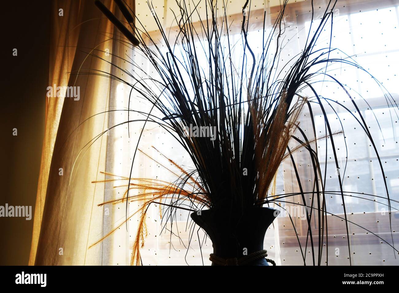 WOHNBEREICH: An einem hellen und sonnigen Tag sitzt eine Strohpflanze in einer hohen schwarzen Steinvase in der Nähe der Fenster eines Wohnhauses. Stockfoto