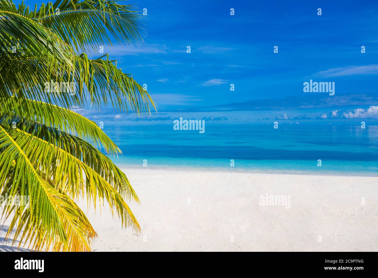 Wunderschöner Palmenstrand, Meereslandschaft. Sommer Urlaub und Urlaub Konzept Hintergrund. Inspirierendes tropisches Landschaftsdesign. Tourismus und Reisedesign Stockfoto