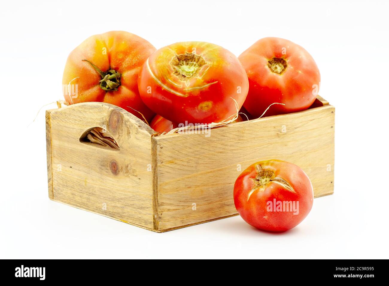 Schmeckte frisch gepflückte Auswahl an rosa Tomaten. Selektiver Fokus mit geringer Schärfentiefe. Stockfoto