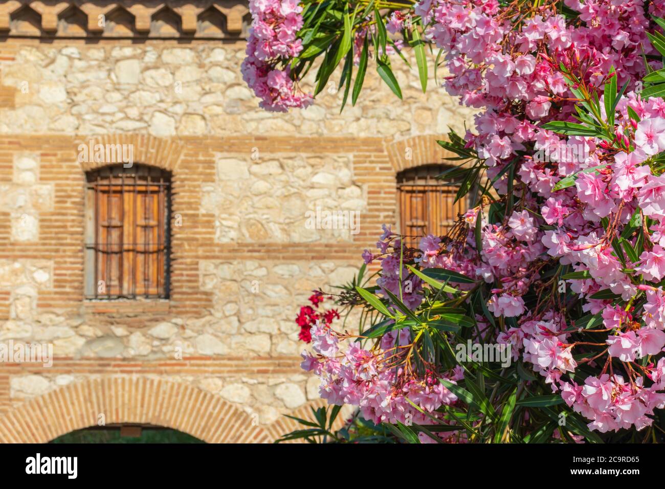 Blumen vor dem Steinhaus, Vorgarten. Landschaftsgestaltung, Fassade in Spanien Stockfoto