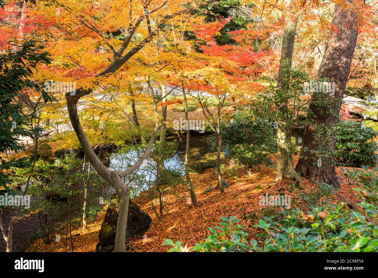 Kanazawa, Japan. Kenroku-en, ein alter privater Garten und einer der drei Großen Gärten Japans (Nihon Sanmeien), im Herbst Stockfoto