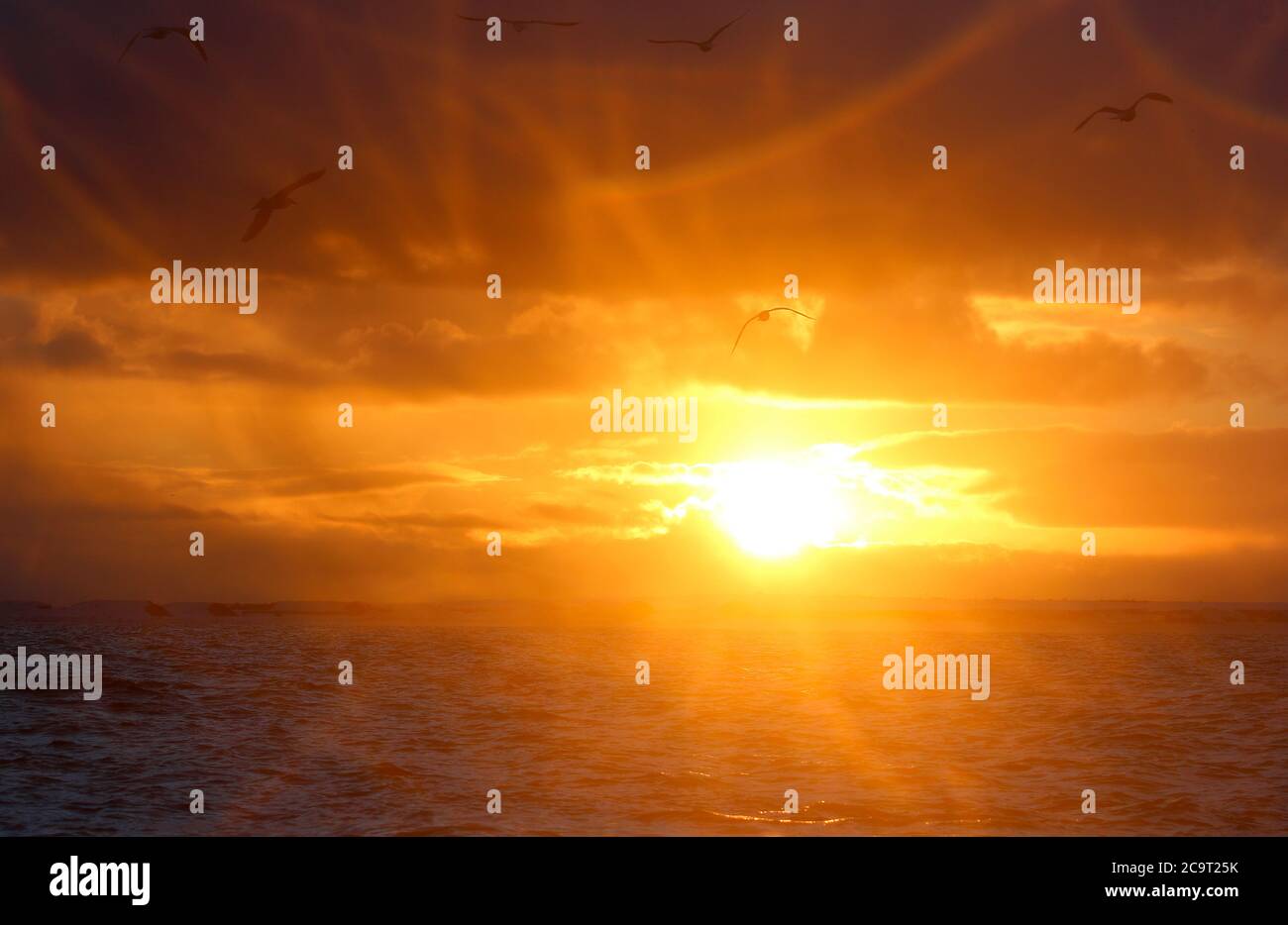Ozeanlandschaft um Andenes, Andoya Insel, Vesteralen, Norwegen, Skandinavien, Europ Stockfoto