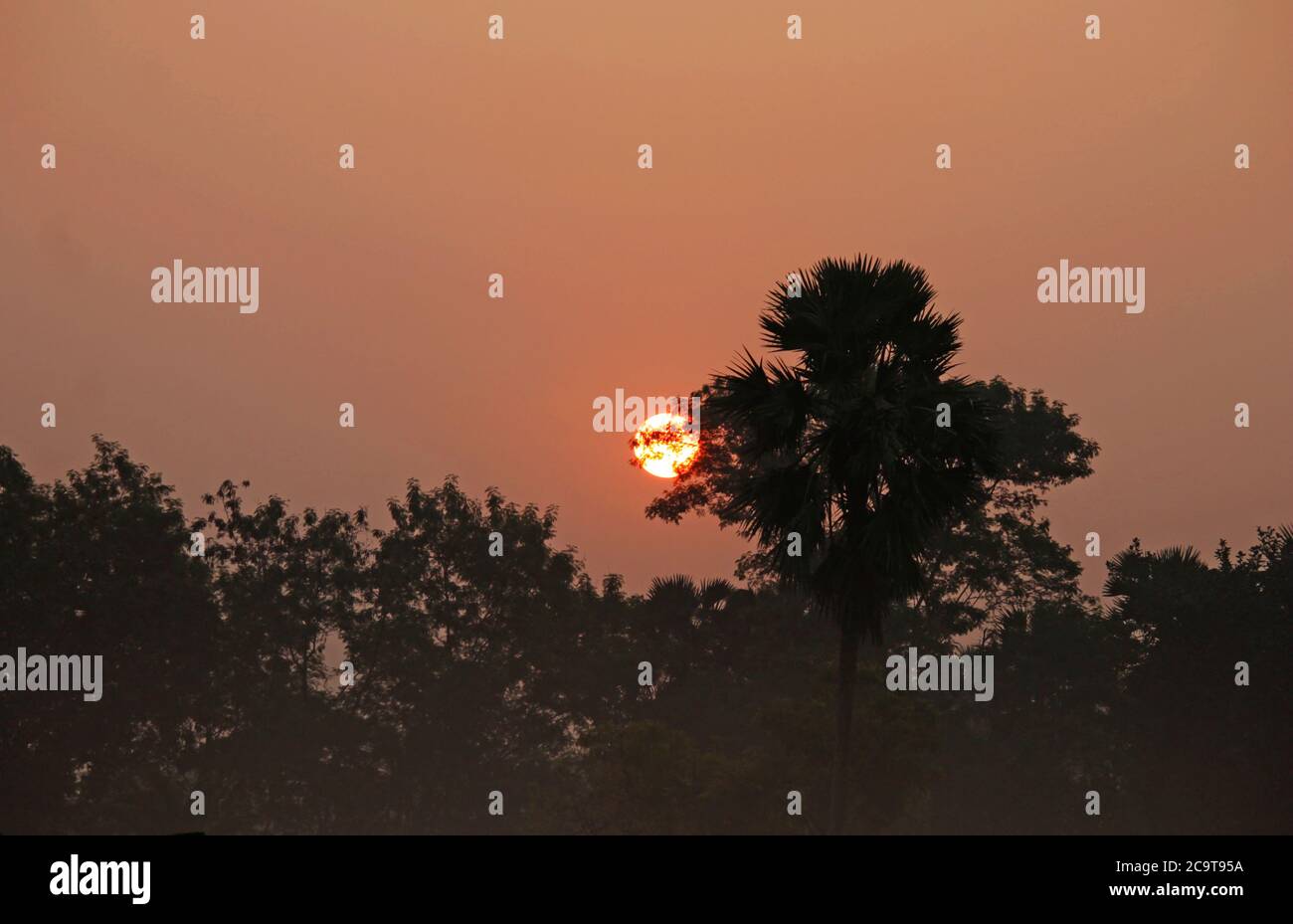 Ein schöner Sonnenaufgang an einem Wintermorgen schafft eine verträumte Atmosphäre. Stockfoto