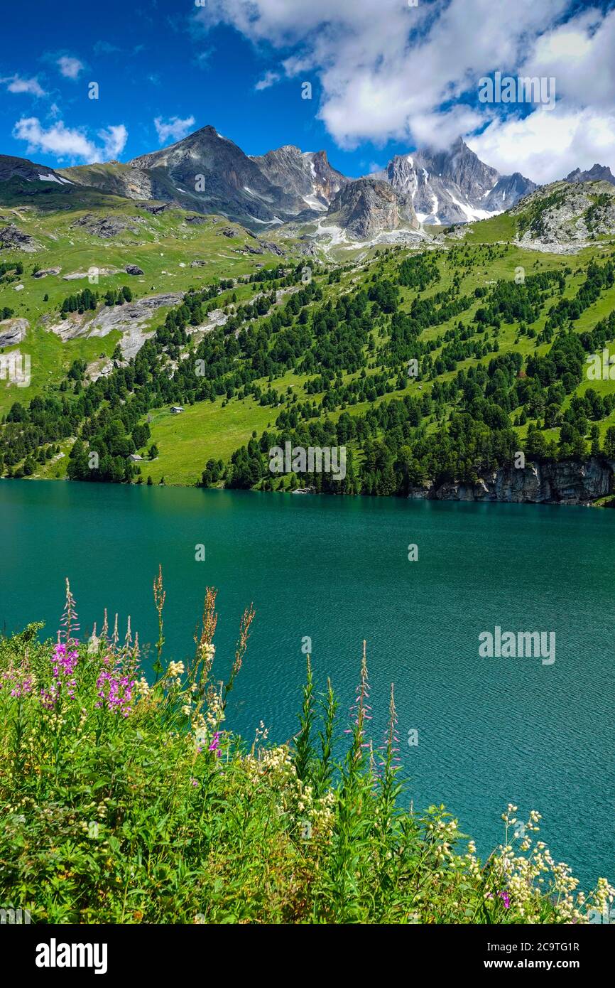 See, Stausee, am Plan d'Amont, oberhalb Aussois, Vanoise Nationalpark, Frankreich Stockfoto