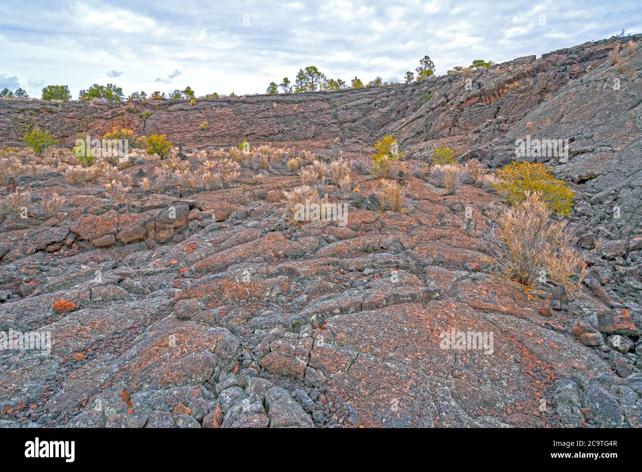 Gehärtete Lava-Fälle in der Lava-Falls-Gegend des El Malpais National Monument in New Mexico Stockfoto