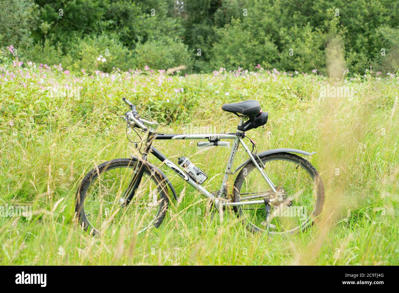 Carrera Vulcan silver Halfords Hybrid-Bike auf Trail oder Weg in dickem Laub oder Gras. Bewegung, Aktivität, Radfahren, Fitness, fit halten, im Freien. VEREINIGTES KÖNIGREICH Stockfoto