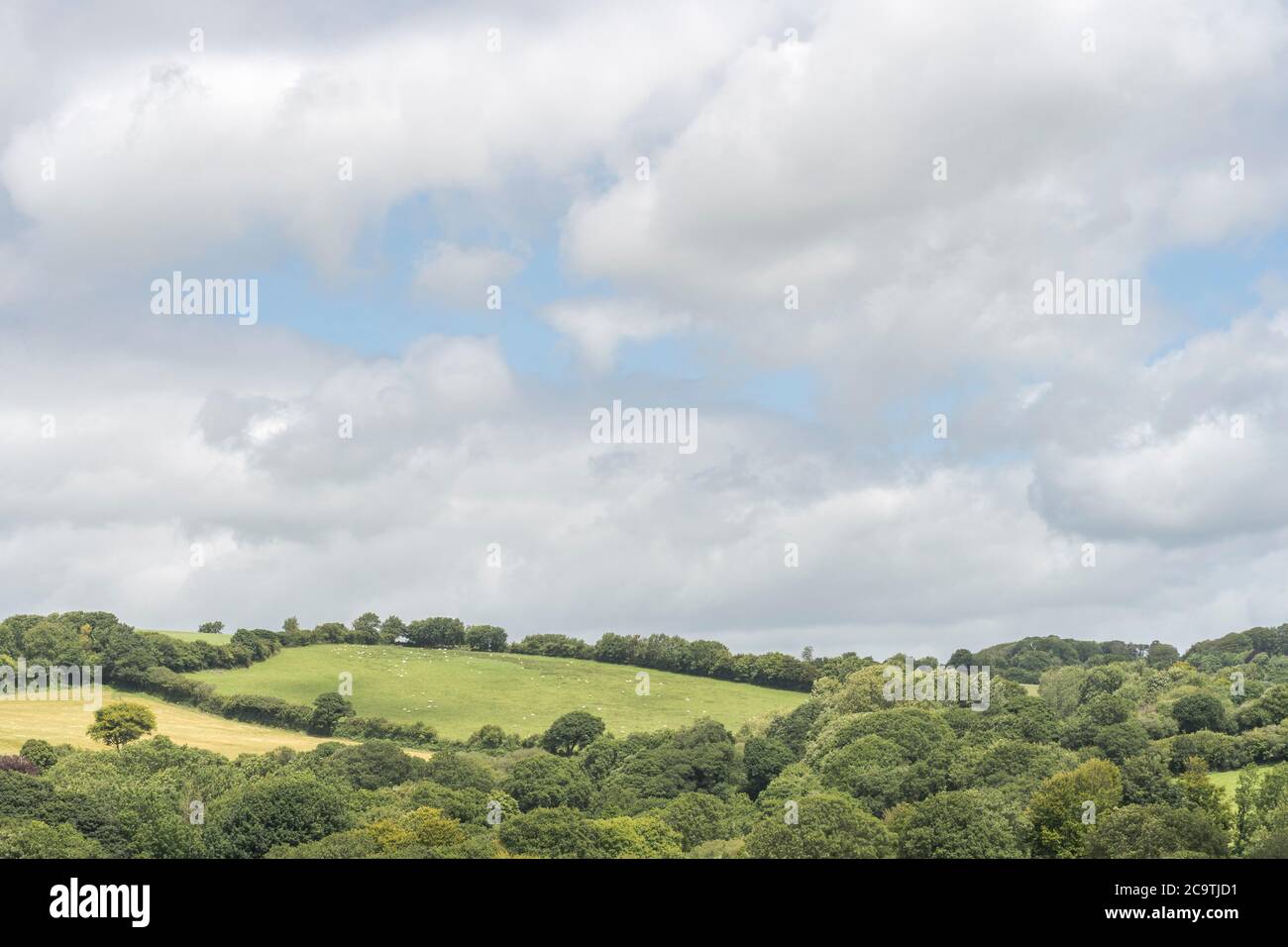 Etwas bedrohlich aussehende dunkle Wolkenformation siedelte über einem entfernten Hangfeld / Ackerland in Großbritannien. Sammeln von Sturmwolken, Wolke Silber Futter. Stockfoto