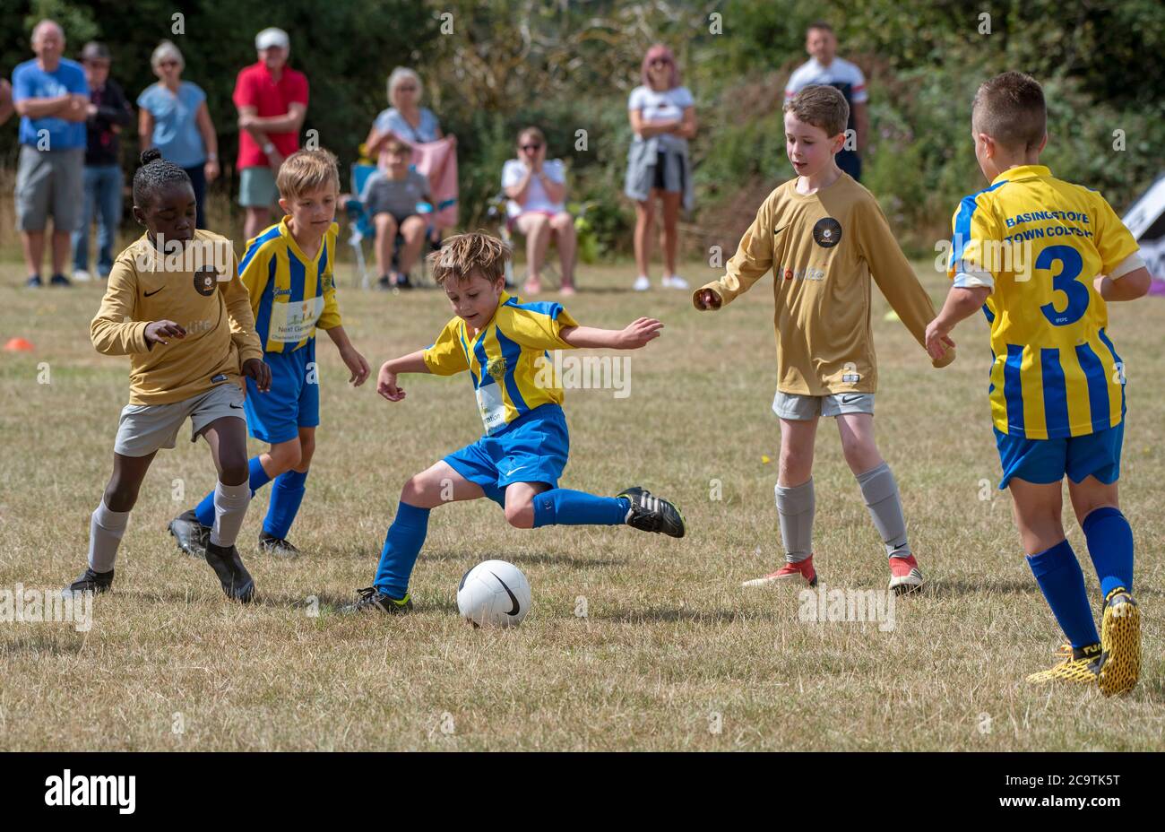 Basingstoke, Hampshire, England, Großbritannien. August 2020. Basingstoke Colts in blau und gelb spielen RAFC von Andover. Aktion während des Jugendersten Spiels Stockfoto