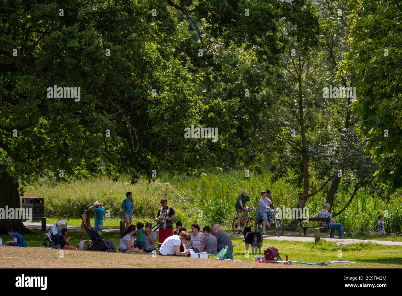 Watford, Hertfordshire, Großbritannien. August 2020. Geschäftiges Sonntagnachmittag mit Picknicks im Cassiobury Park, dem größten öffentlichen Platz in Watford. Stockfoto