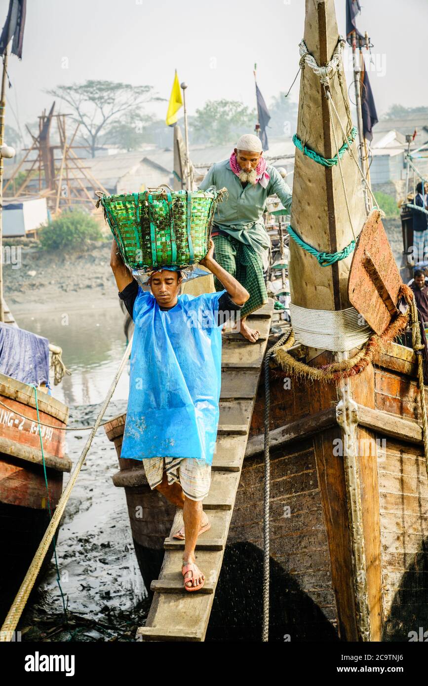 Chittagong, Bangladesch, 23. Dezember 2017: Fischer bringen frischen Fang aus dem Boot im Hafen am Karnaphuli Fluss in Chittagong Stockfoto