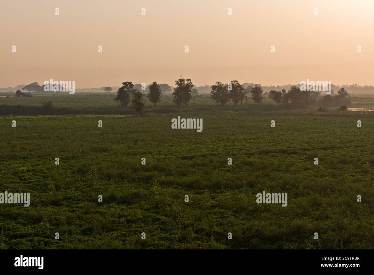 Sonnenuntergangsszenerie am Ufer des Shores am Taung Tha man See während Sonnenaufgang in der Nähe der U-Bein Brücke, Amarapura, Mandalay, Myanmar, Asien Stockfoto