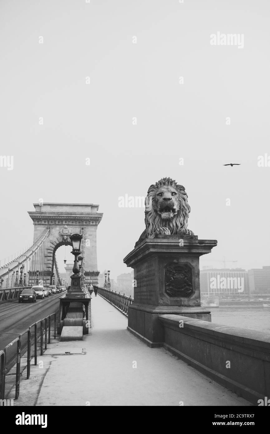 Die Kettenbrücke, Budapest in Schwarz und Weiß. Stockfoto