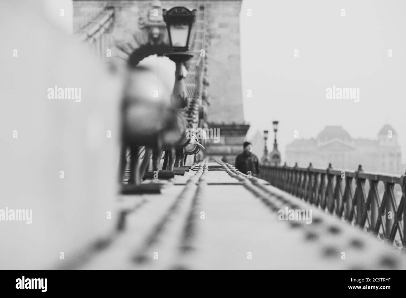 Nahaufnahme des Vintage Metallzaun der Kettenbrücke in schwarz weiß. Architektur Bau Hintergrund. Ungarn, Budapest Stockfoto