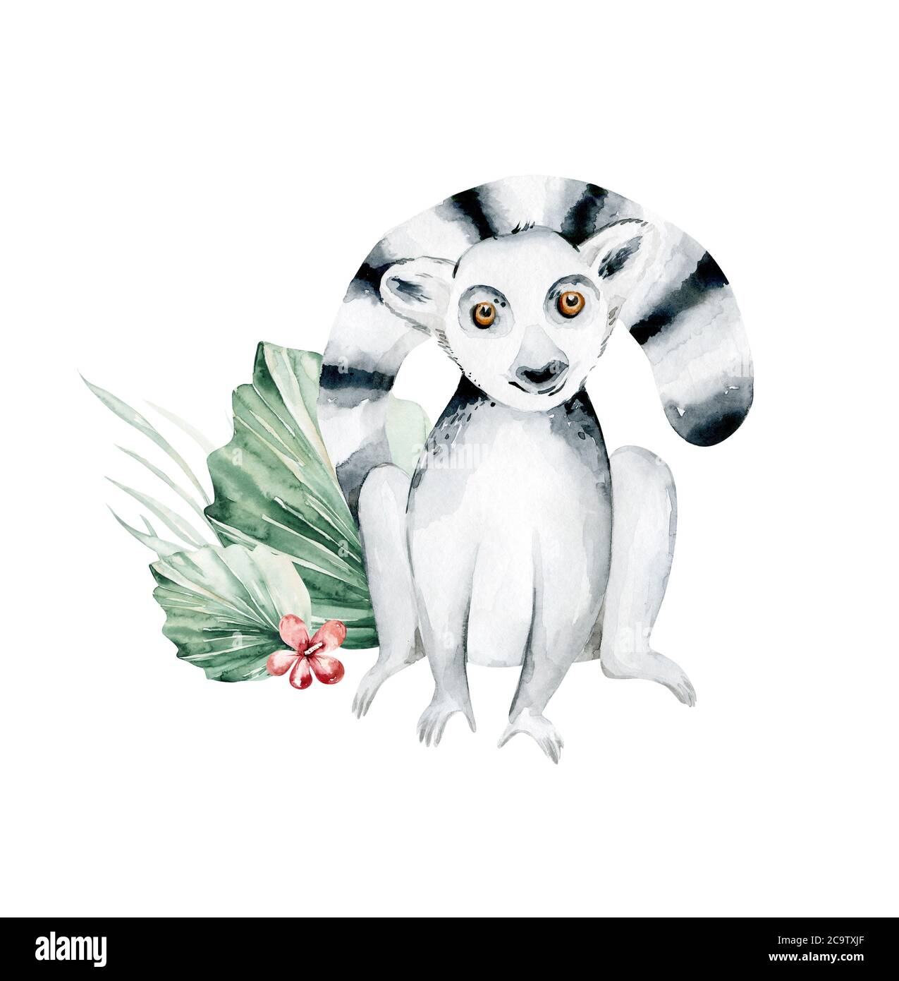 Aquarell-Illustration eines Lemurs auf weißem Hintergrund. Madagaskar Fauna Zoo exotische Lemuren Tier. Poster im tropischen Design Stockfoto