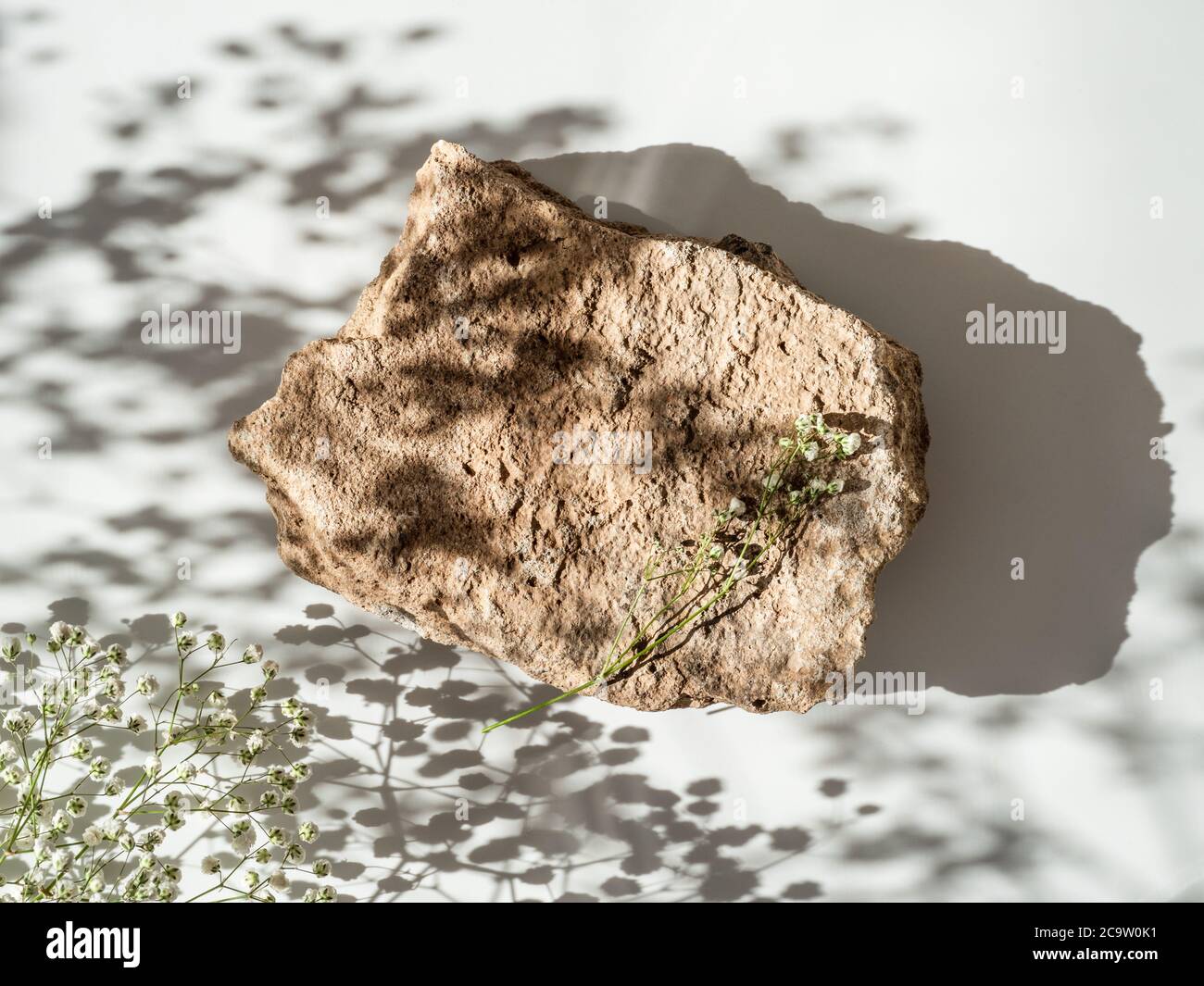 Mockup geometrische Form Podium Draufsicht. Steinform mit Gypsophila-Blüten Schattierungen auf weißem Hintergrund. Flach liegend. Kann als Parfüm und kosmetische Nachbau verwenden Stockfoto