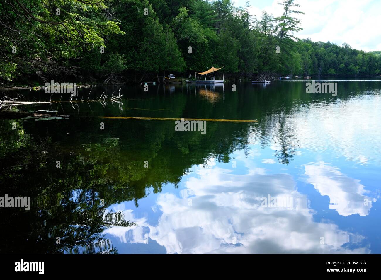 Kanadischer Sommersee erschossen - flauschige weiße Wolken spiegeln sich im stillen See und ein schwimmendes Dock, das aus dem eindringenden Wald guckt. Québec. Stockfoto