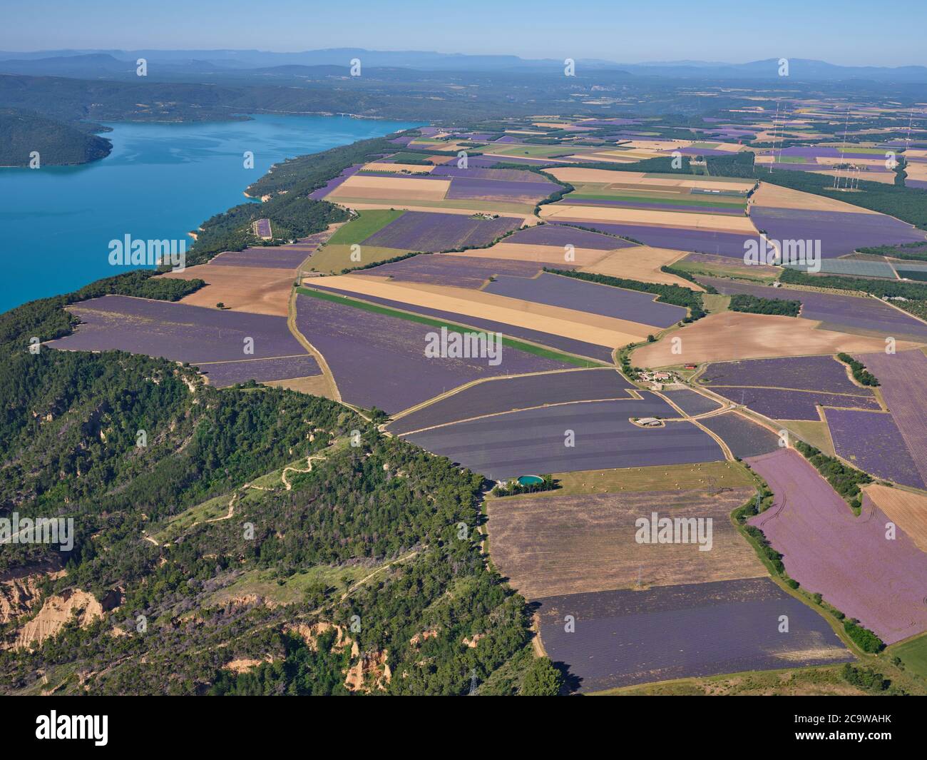 LUFTAUFNAHME. Lavendelfelder auf dem Plateau von Valensole mit Blick auf den Sainte-Croix-See. Moustiers-Sainte-Marie, Provence, Frankreich. Stockfoto