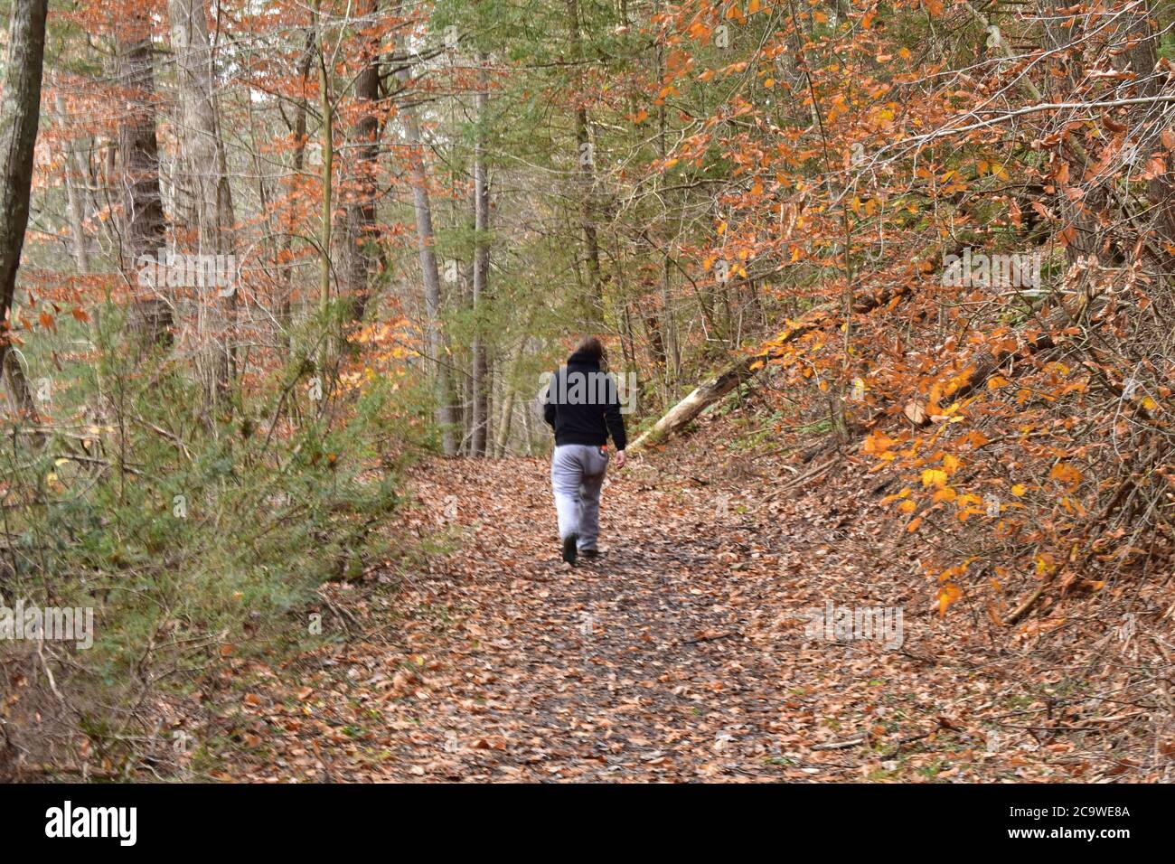 Ein Mann in einem schwarzen Hoodie, der durch einen mit Blättern bedeckten Herbstwald geht Stockfoto