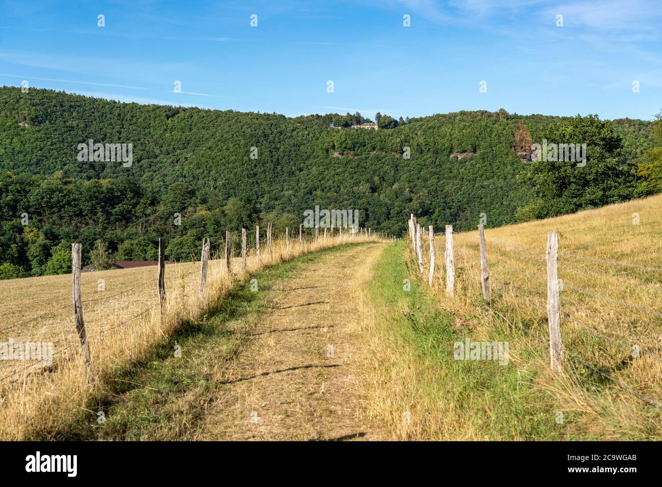 Landschaft in der Rur-Eifel, Ländlich, kleiner Feldweg, bei Nideggen, Kreis Düren, NRW, Deutschland, Stockfoto