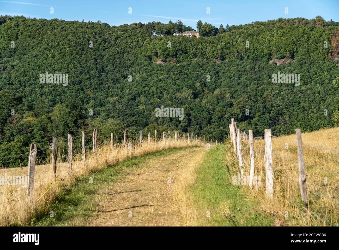 Landschaft in der Rur-Eifel, Ländlich, kleiner Feldweg, bei Nideggen, Kreis Düren, NRW, Deutschland, Stockfoto