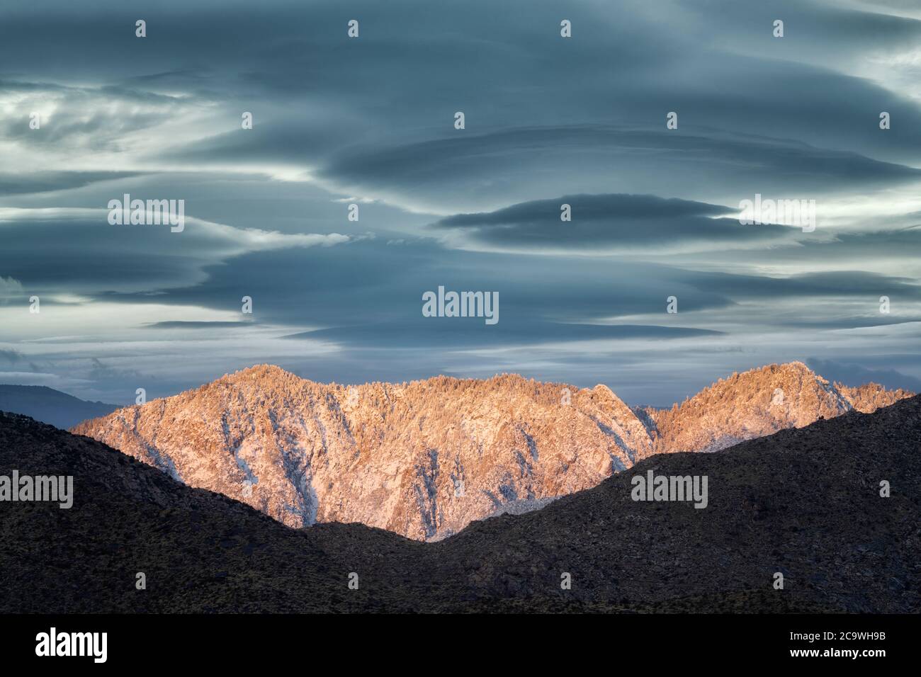 Einone Palme, mit Winterschnee. Palm Springs, Kalifornien Stockfoto