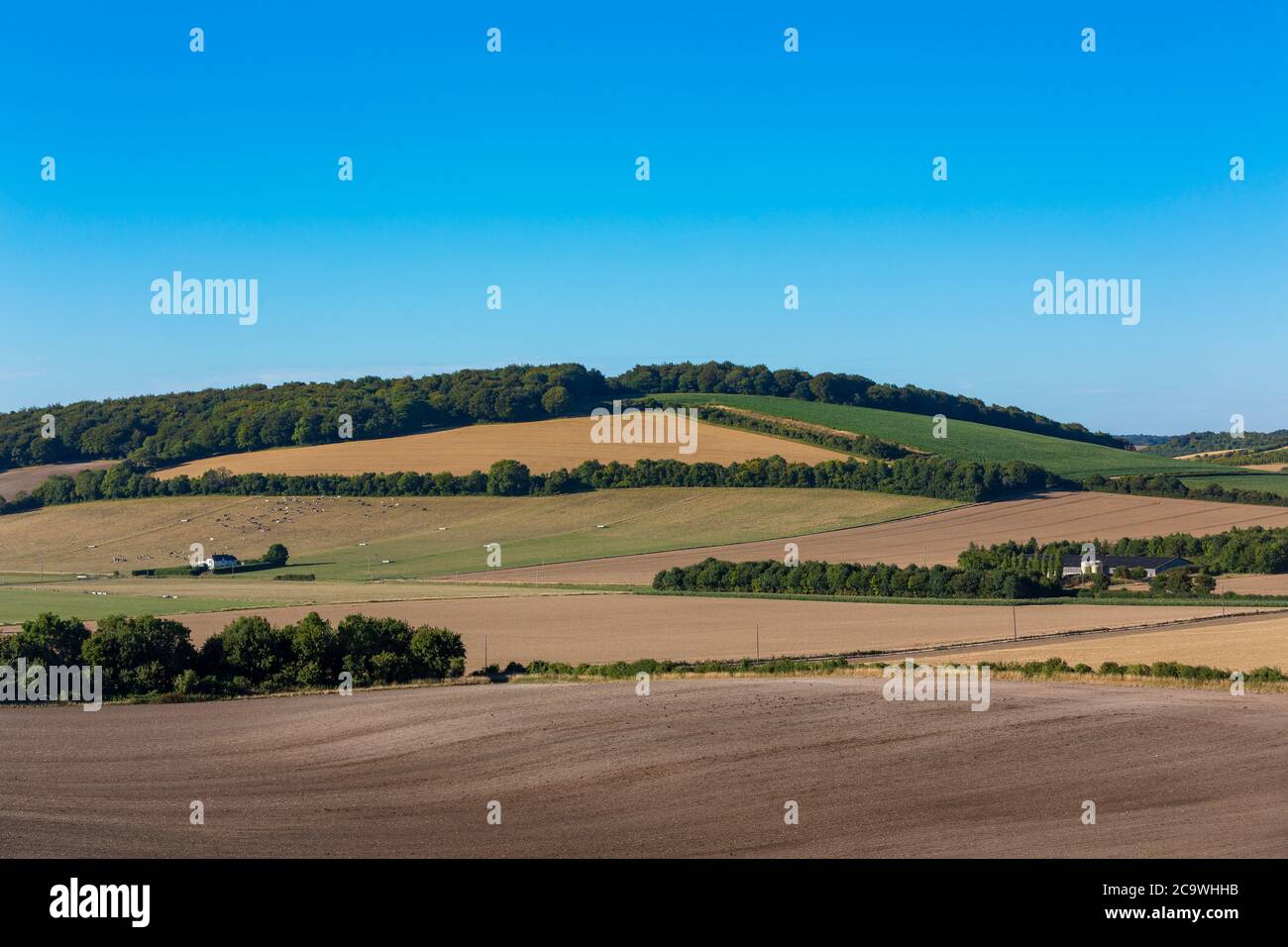 Typischer Bauernhof in der englischen Landschaft. Das Meon Valley in Hampshire an einem klaren Sommertag. Blauer Himmel mit wenig Wolke, um die Aussicht zu verderben. Stockfoto