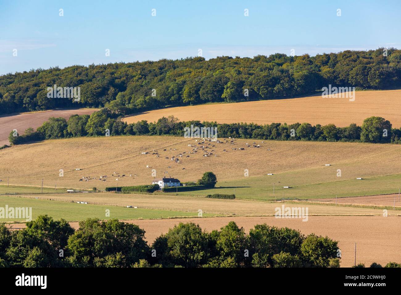 Typischer Bauernhof in der englischen Landschaft. Das Meon Valley in Hampshire an einem klaren Sommertag. Blauer Himmel mit wenig Wolke, um die Aussicht zu verderben. Stockfoto