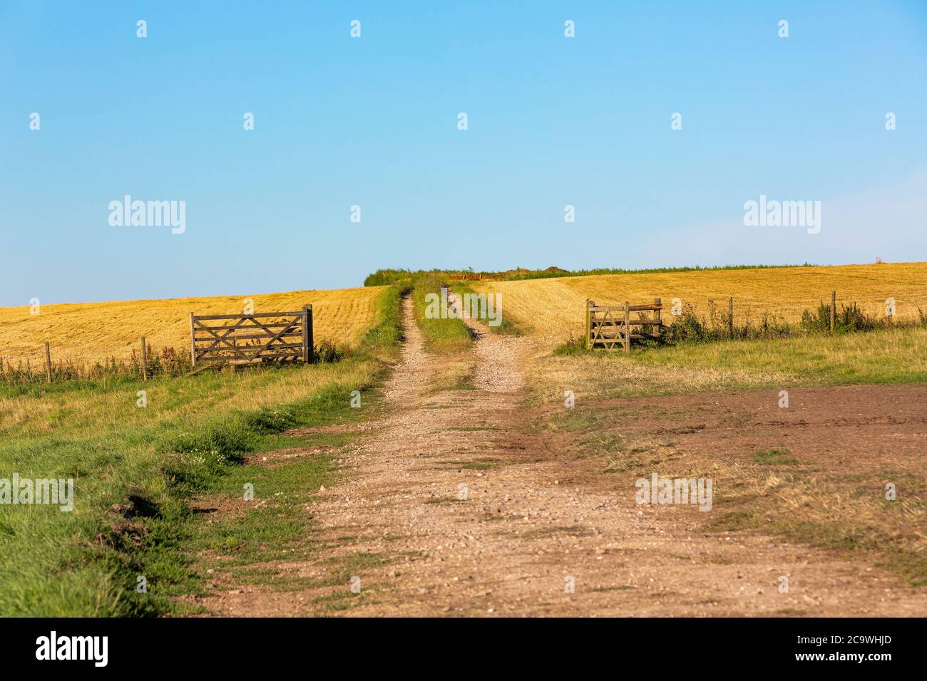 Typischer Bauernhof in der englischen Landschaft. Das Meon Valley in Hampshire an einem klaren Sommertag. Blauer Himmel mit wenig Wolke, um die Aussicht zu verderben. Stockfoto