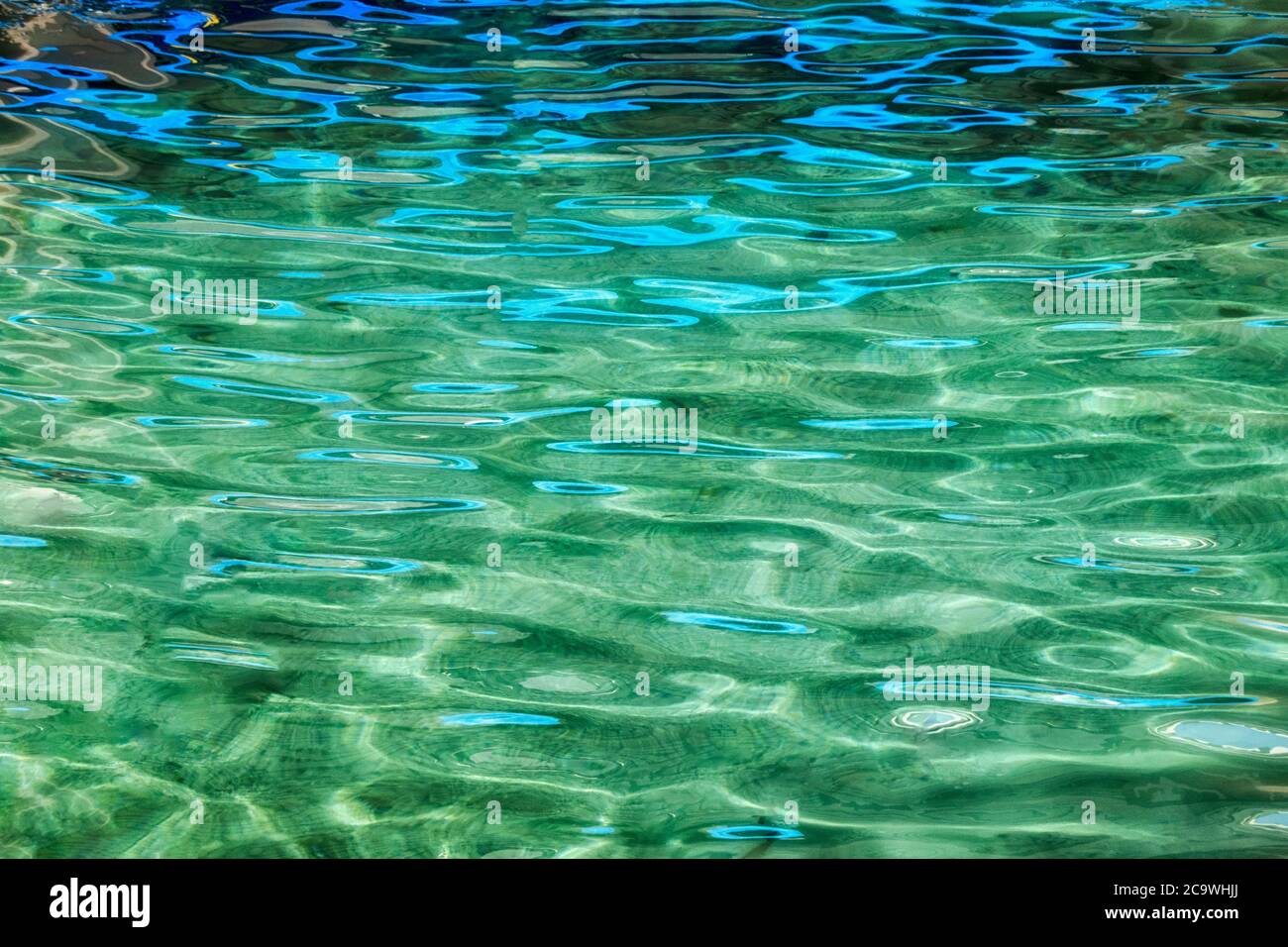 Blaue Reflexion im Teich. Hawaii Stockfoto