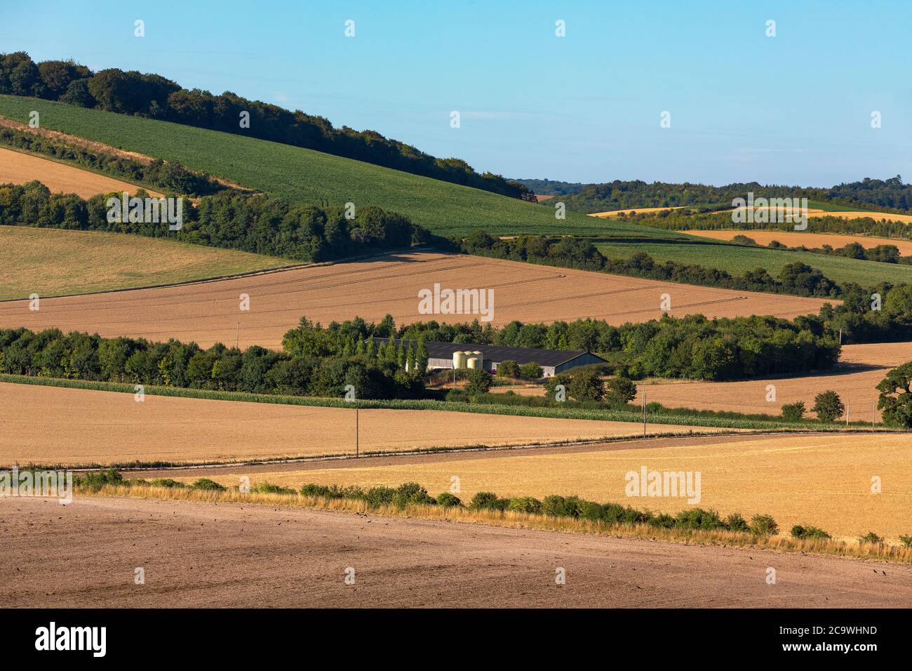 Typischer Bauernhof in der englischen Landschaft. Das Meon Valley in Hampshire an einem klaren Sommertag. Blauer Himmel mit wenig Wolke, um die Aussicht zu verderben. Stockfoto