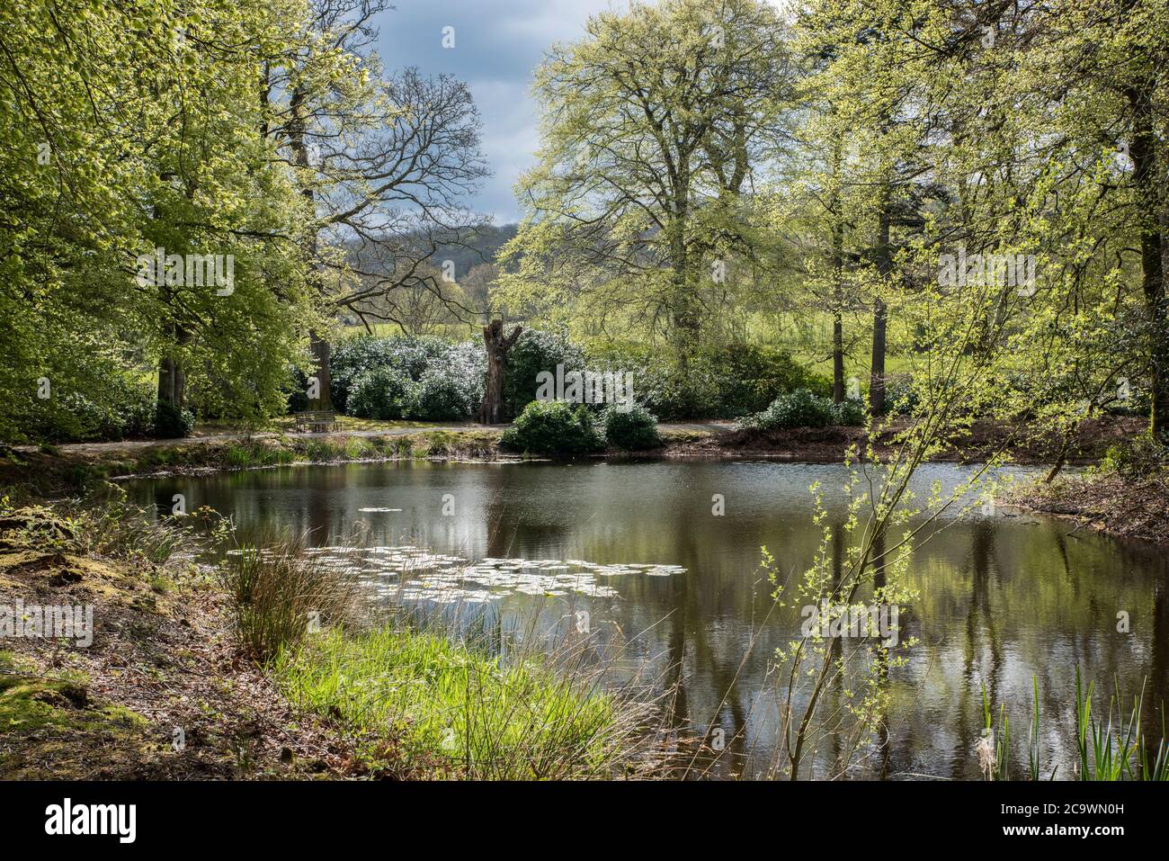 Unberührte wunderschöne Llanerchaeron National Trust Gärten Stockfoto