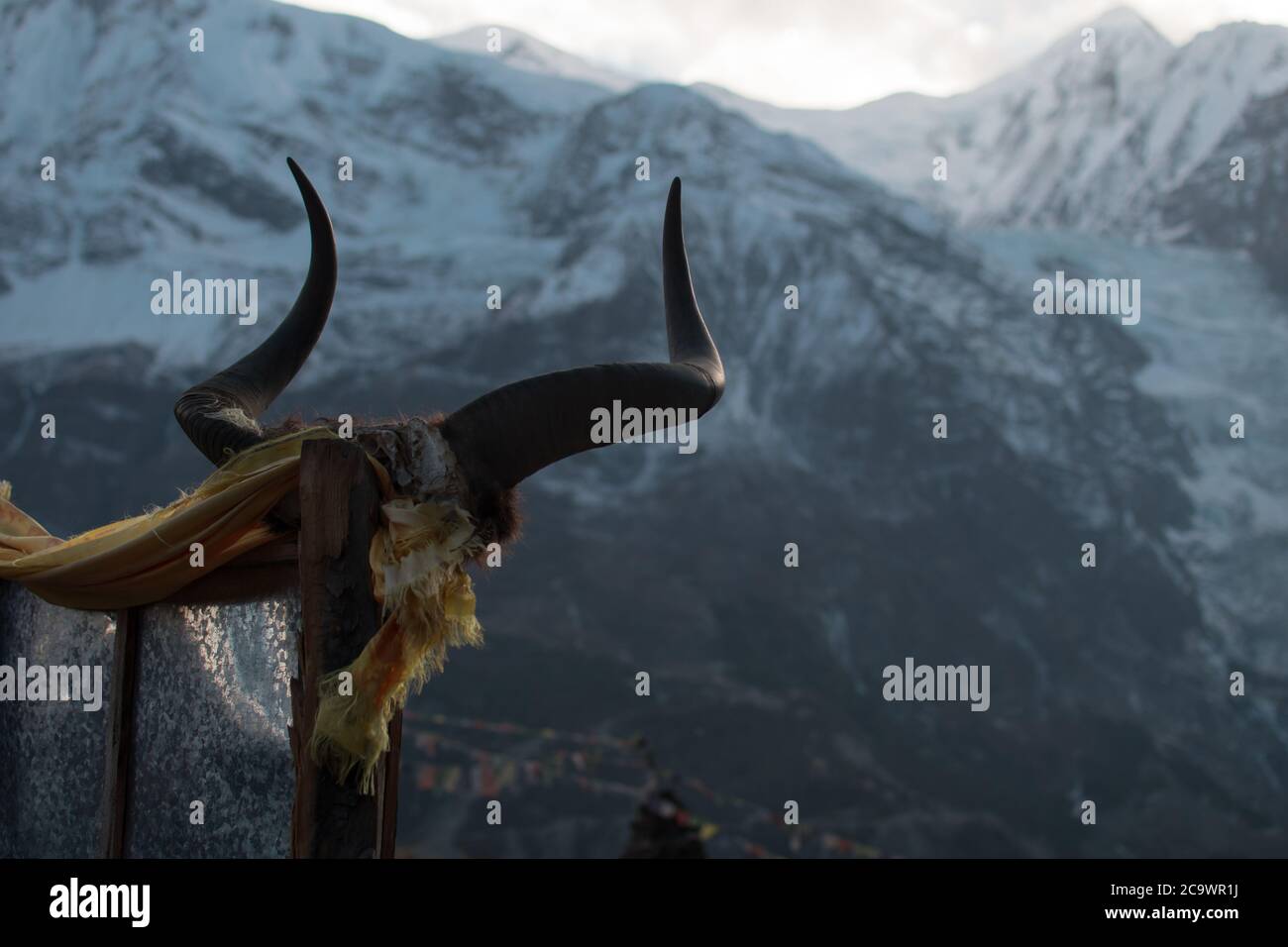 Tierhörner auf einem Stock vor einem verschneiten Berg mit heller Sonne über Manang, Annapurna Circuit, Nepal Stockfoto